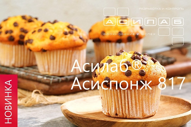 А у нас тут новинка. Встречайте — Асилаб ® Асиспонж 817!